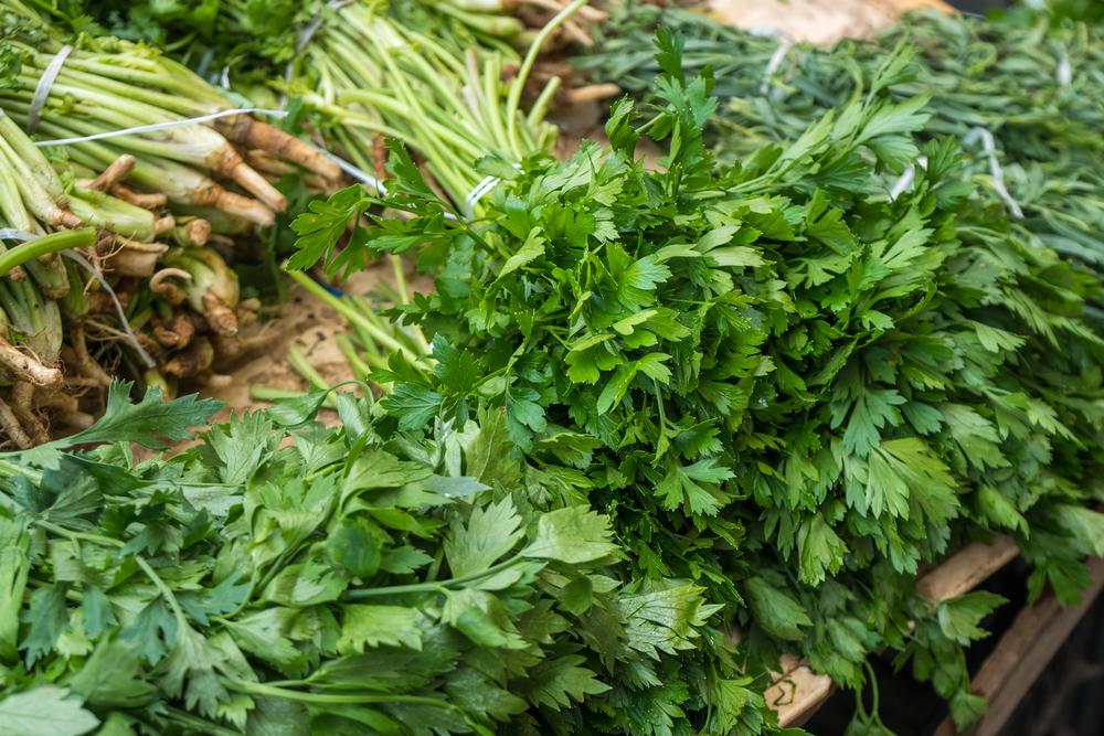 Де у Києві сьогодні проходять продуктові ярмарки: локації