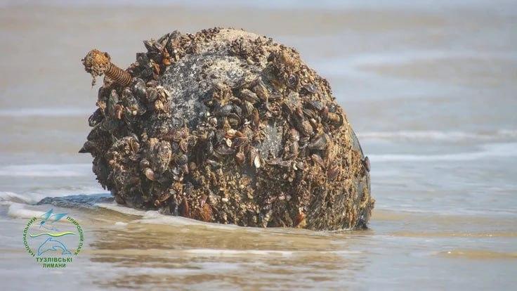 Біля «Тузлівських лиманів» виявили 19 протикорабельних мін