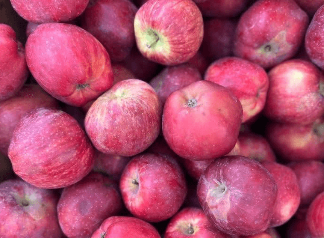 У шести районах Києва сьогодні проходять продуктові ярмарки: де саме