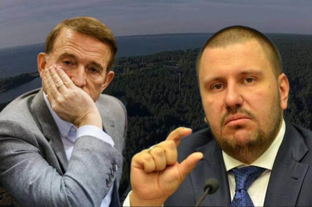 Державі повернули 9,5 га лісу на Київщині, пов’язані з Медведчуком та Клименком