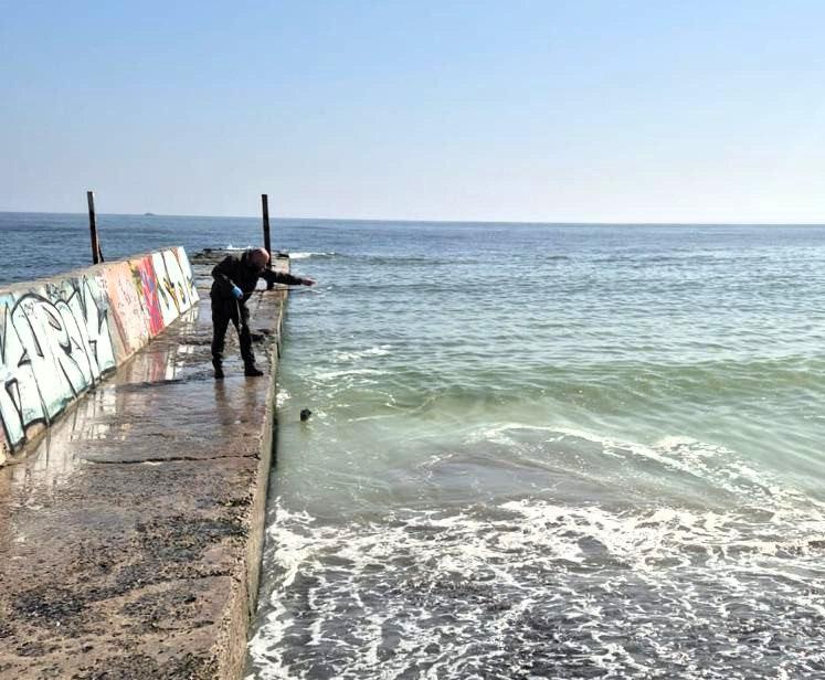 На пляжах Одеси вода вкрилась плямами і тхне олією – вміст жирів перевищено в 50 разів