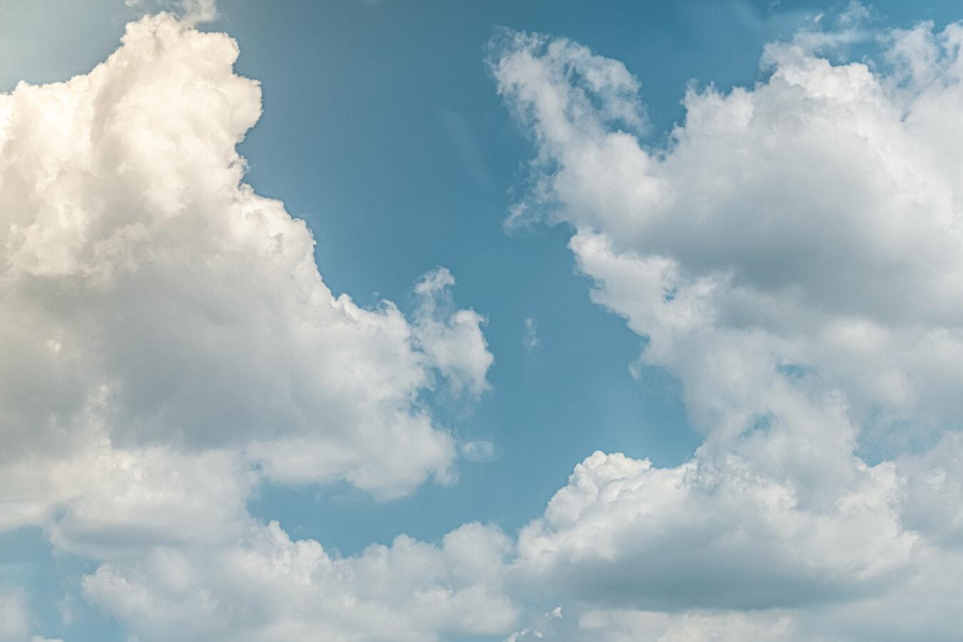 Погода на 8 березня на Київщині: вдень до +12°, без опадів