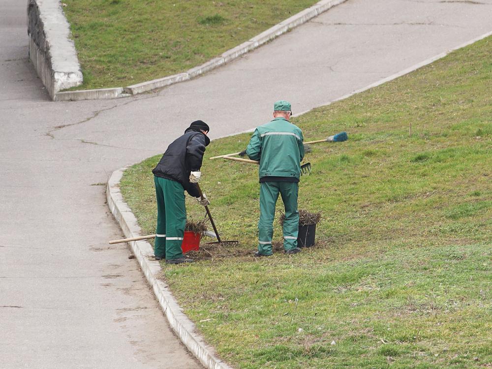 У Києві проведуть толоки в понад 120 парках, скверах та прибережних зонах