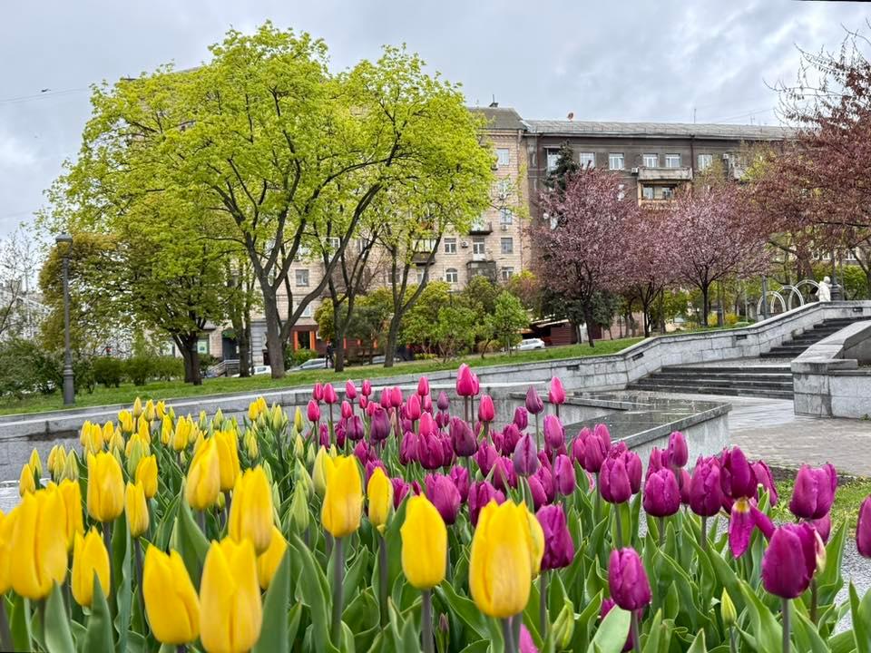 У Києві і області прогнозують заморозки у повітрі і на поверхні ґрунту