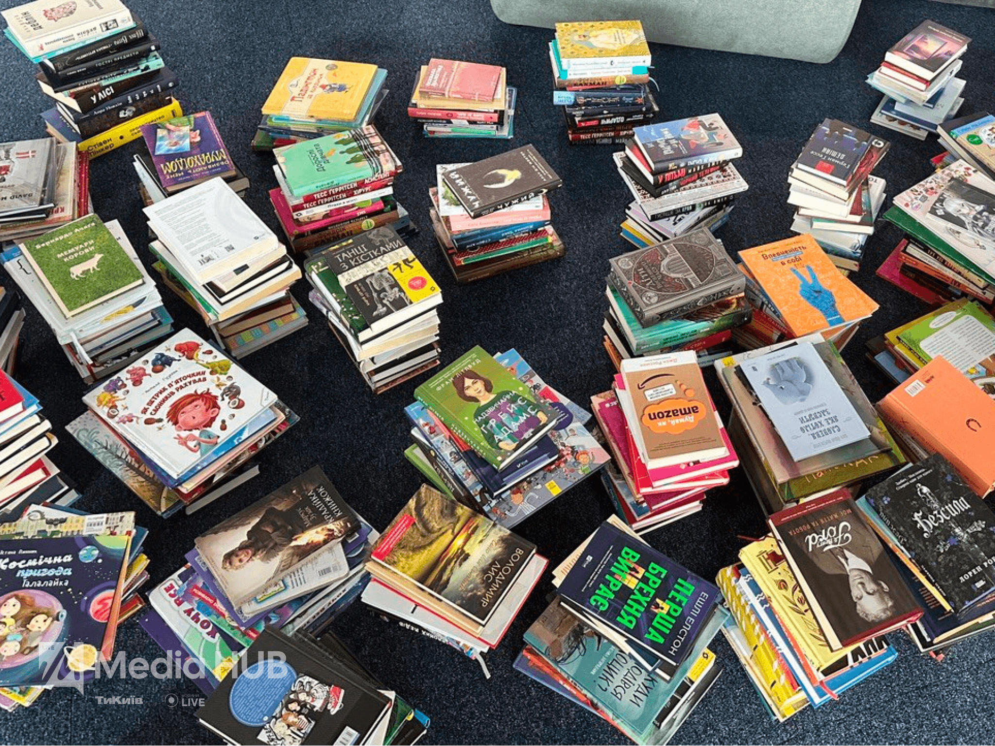 Будинок Української Книги на Книжковій країні: третій великий збір літератури для бібліотек у селах