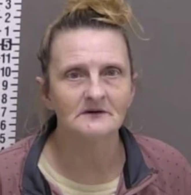 Жінка зі штату Теннессі провела майже шість місяців у в’язниці через помилку системи розпізнавання облич