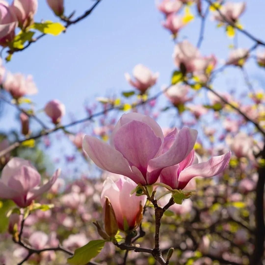 15 квітня 14:00