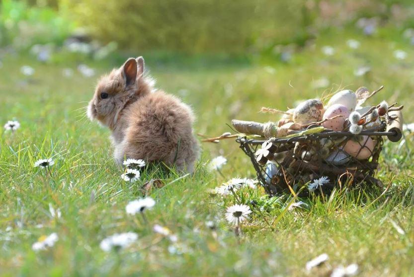 На Великдень можна одягати літню сукню – прийде потепління