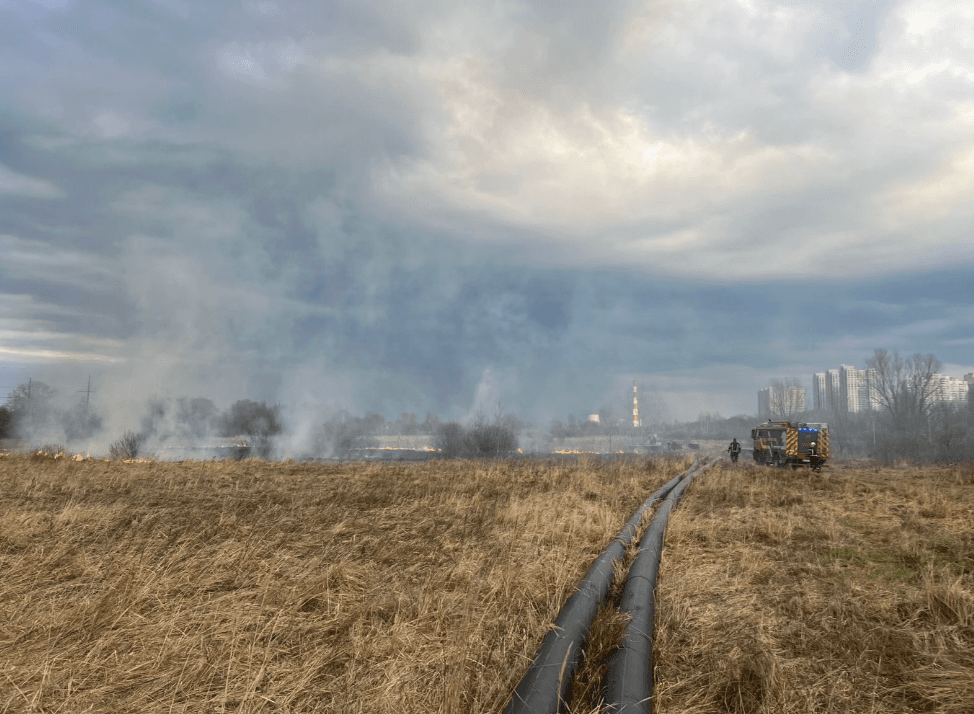 Киян попереджають про заборону спалювання рослинності: які штрафи загрожують порушникам