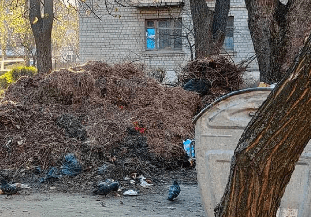 На Відрадному прибрали купи гілля, які з минулого року заважали містянам