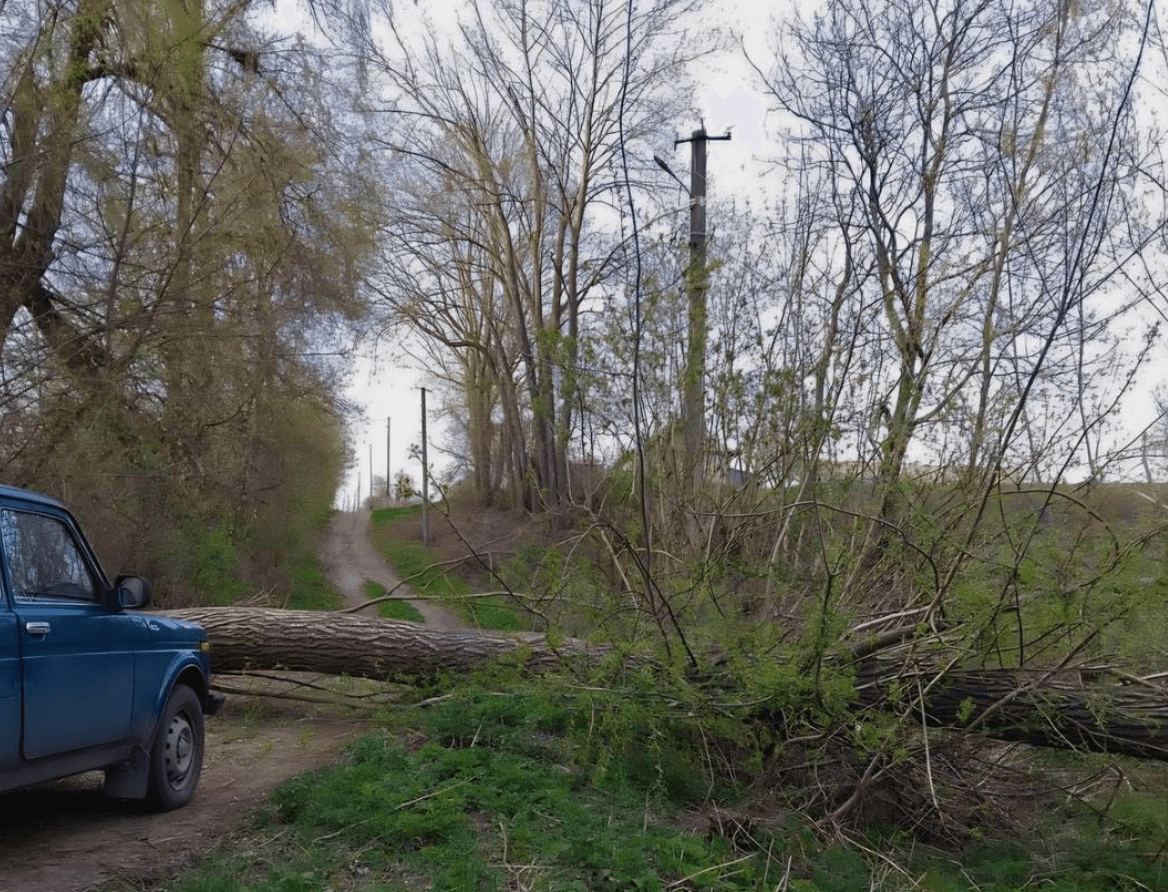 На Київщині 120 тисяч домівок залишились без світла через негоду (оновлено)