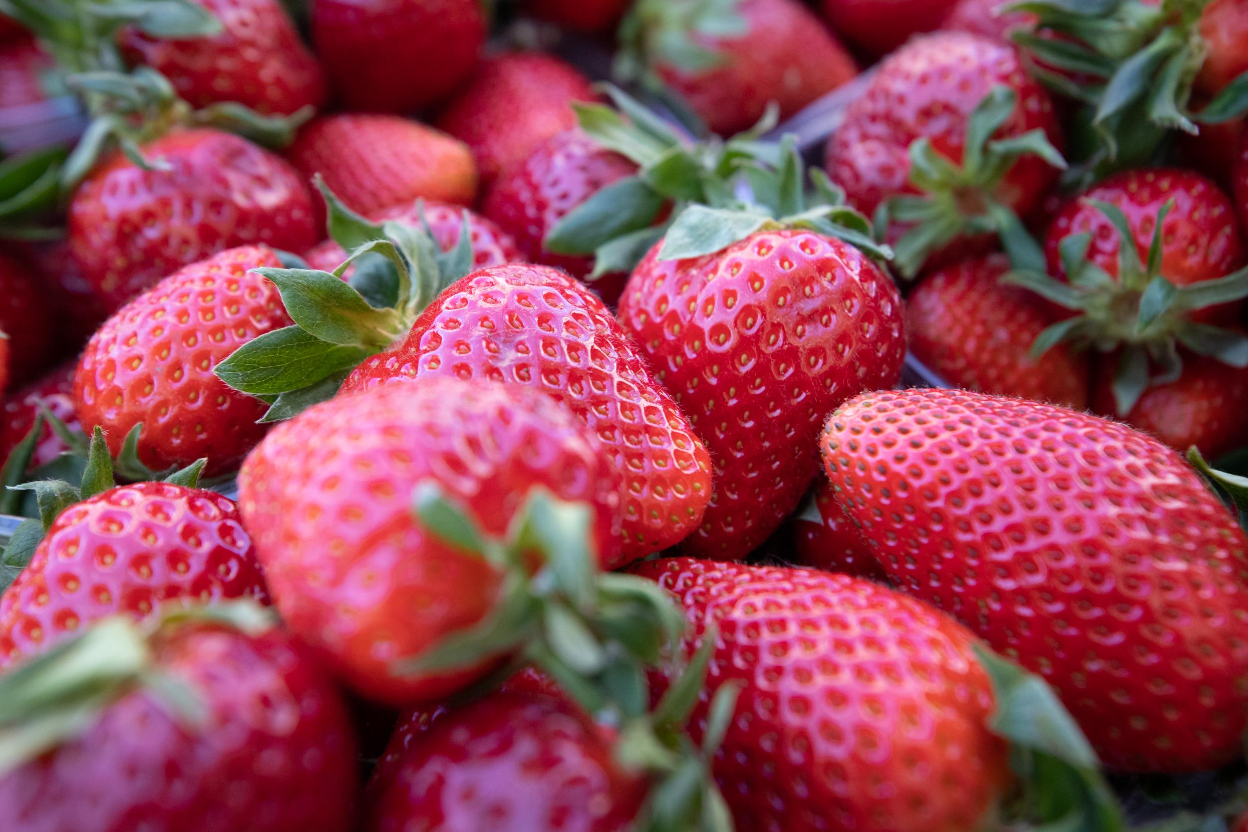 Ярмарки у Києві: де купити фермерські продукти цього тижня