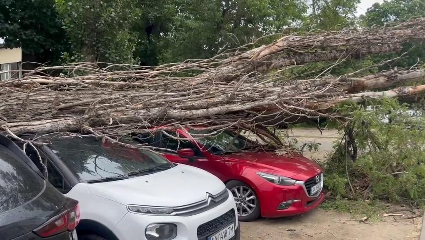 На Подолі вітер повалив дерево на припарковані автівки