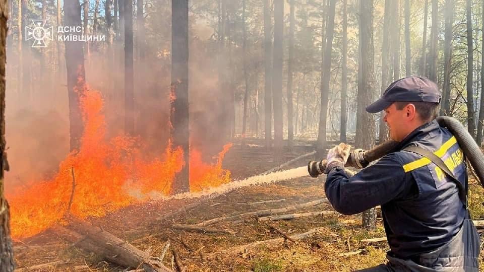 У Чорнобильській зоні загасили масштабну лісову пожежу