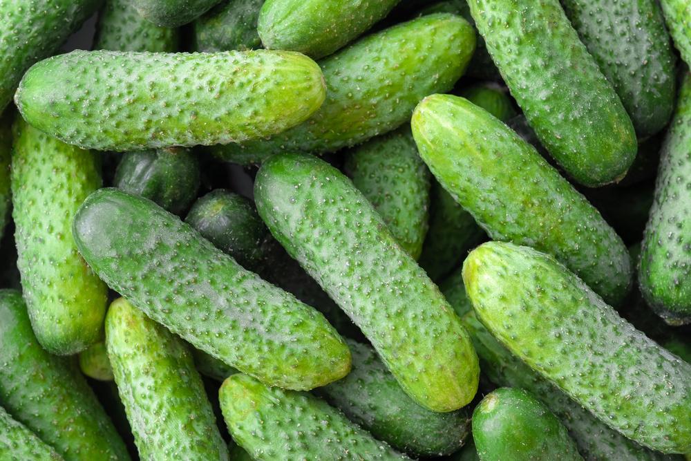 Де у Києві сьогодні можна купити фермерські продукти: локації
