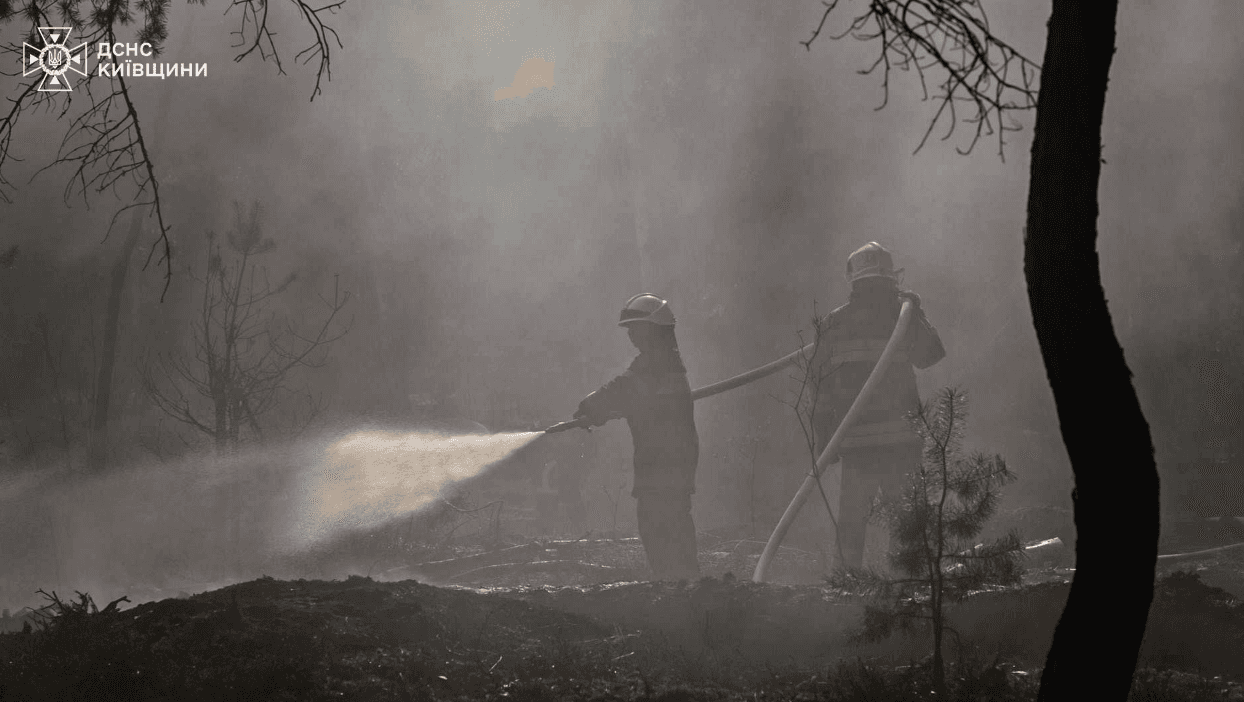 Пожежа в Чорнобильській зоні: що зараз з радіаційним станом
