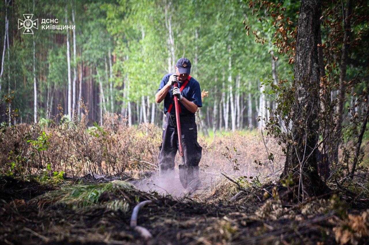 Рятувальники повністю загасили пожежу в Чорнобильській зоні