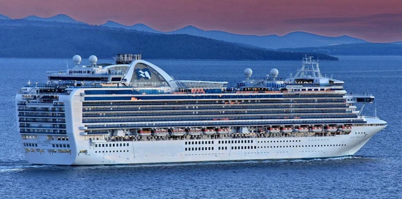 На круїзному лайнері Ruby Princess стався масовий спалах норовірусу: захворіли понад 120 людей