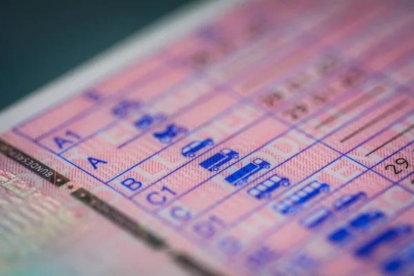 Українці вже можуть обмінювати водійські посвідчення в Німеччині без іспитів