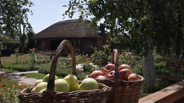 Музей Олександра Довженка безкоштовно пригощає врожаєм відвідувачів
