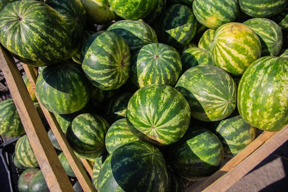 Де у Києві сьогодні проходять продовольчі ярмарки: локації