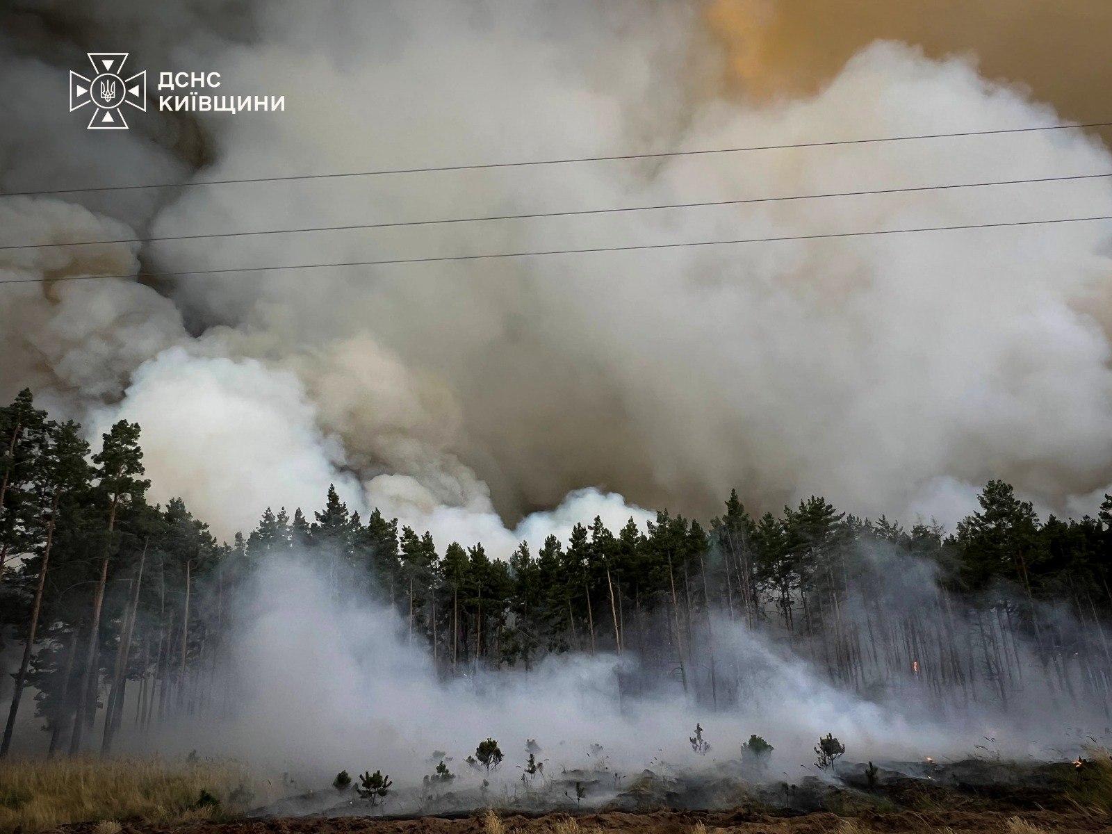 Під Києвом горить ліс, пожежа охопила значну територію (відео)