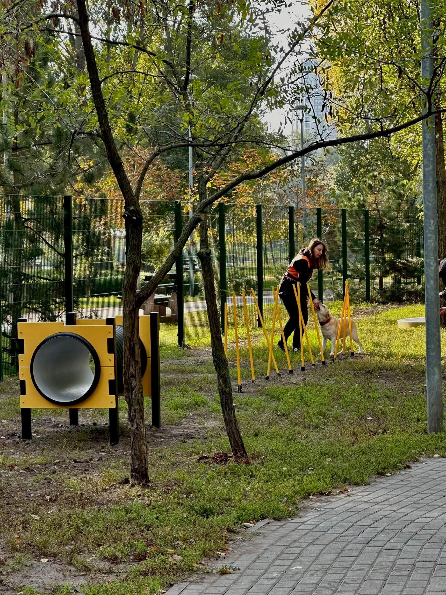 Меценати допомогли оновити майданчик для вигулу та тренування собак  біля озера Тельбін