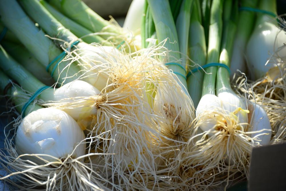 Час закупитися: де у Києві сьогодні проходять продуктові ярмарки