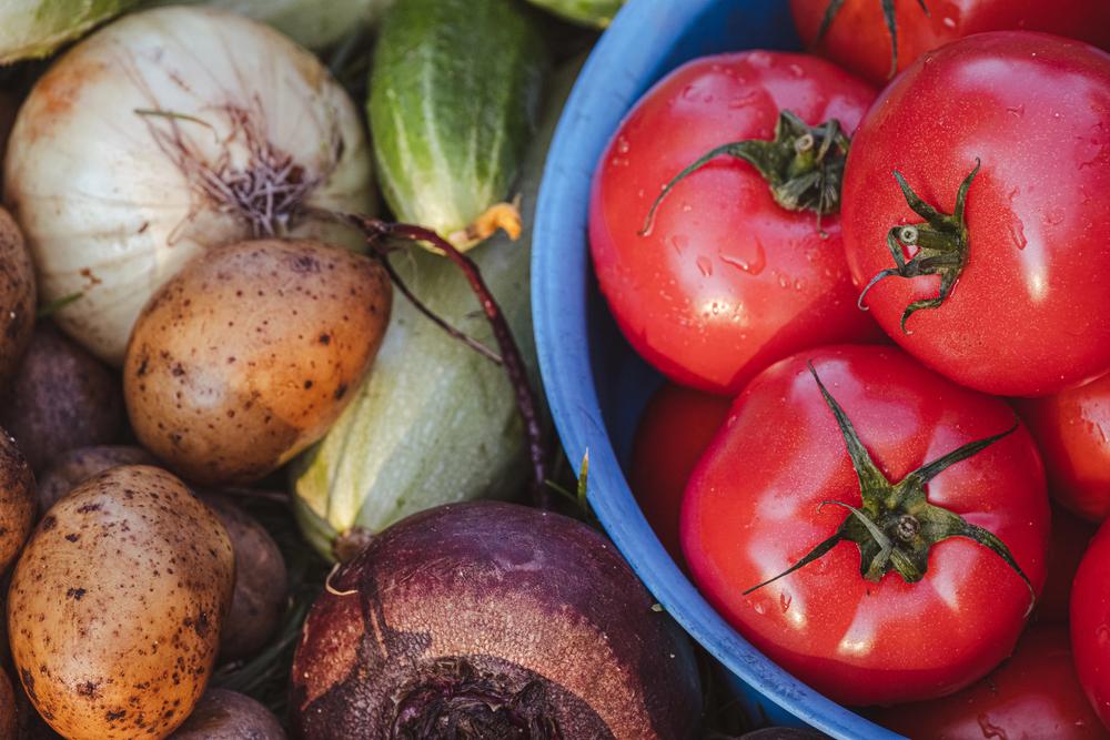 Де у Києві у вихідні проходитимуть продуктові ярмарки: локації