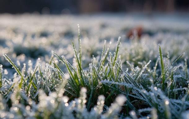 Дві ночі із заморозками: на Київщині попереджають про загрозу для городини