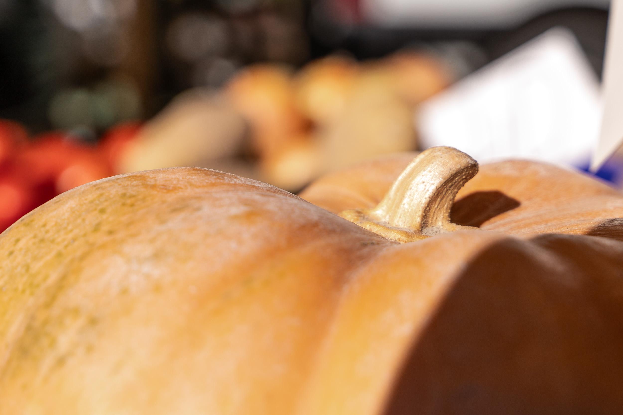 Де у Києві цього тижня відбудуться продуктові ярмарки: локації