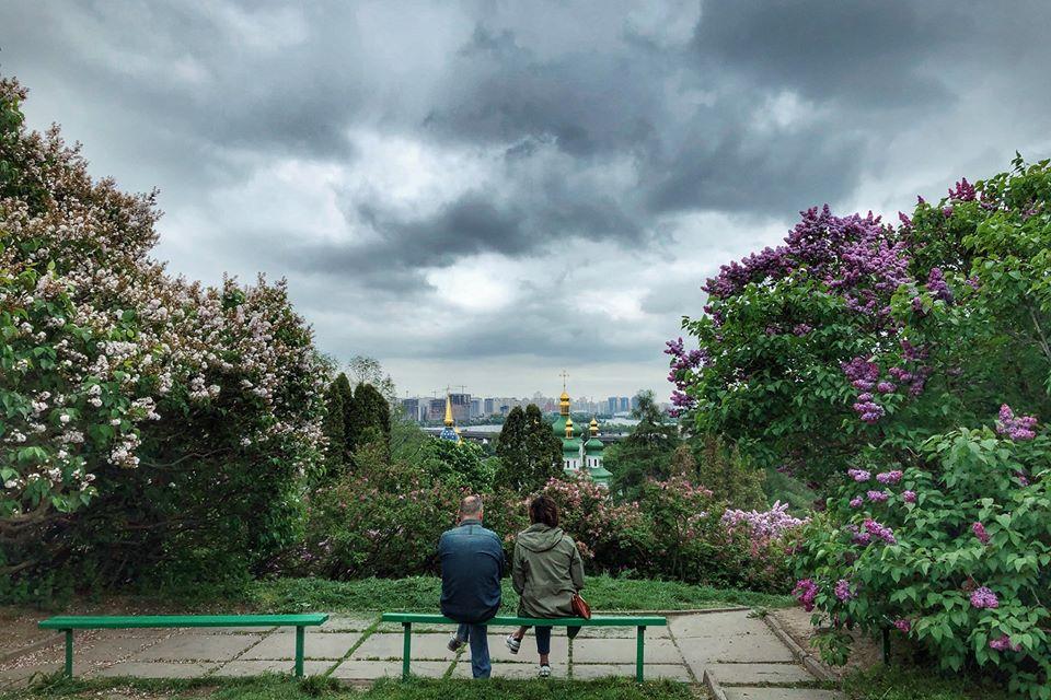 ботсад гришка